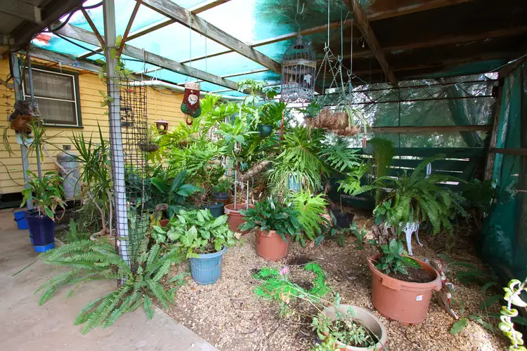 Fourth view of Homely house listing, 530 Pomona Road, Pomona NSW 2648