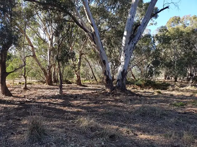 Second view of Homely land listing, 5 CORRELL STREET, Longwood VIC 3665