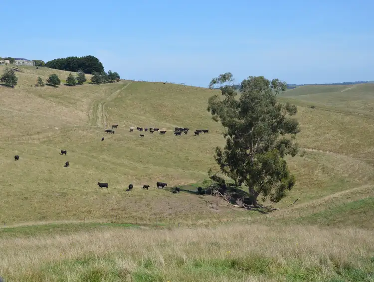Main view of Homely rural property listing, 112 HAIRS ROAD, Moyarra VIC 3951