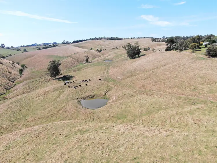 Second view of Homely rural property listing, 112 HAIRS ROAD, Moyarra VIC 3951