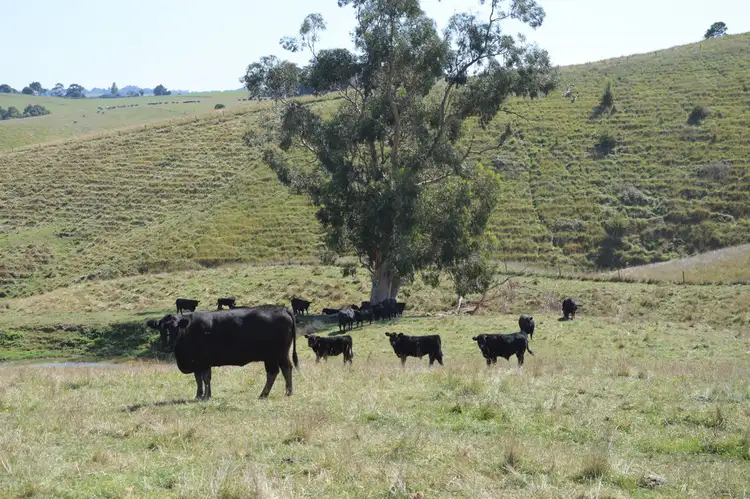 Third view of Homely rural property listing, 112 HAIRS ROAD, Moyarra VIC 3951