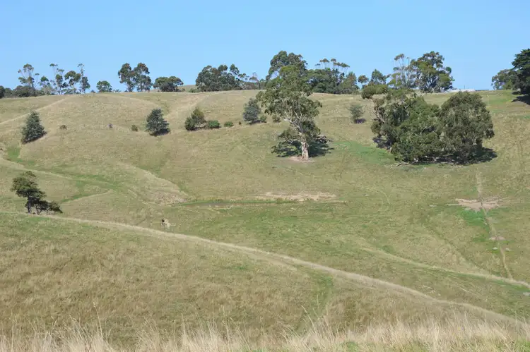 Seventh view of Homely rural property listing, 112 HAIRS ROAD, Moyarra VIC 3951