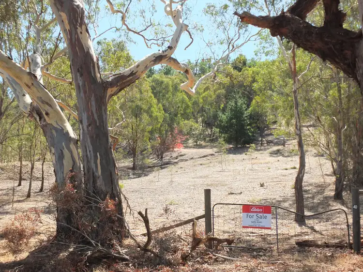Main view of Homely rural property listing, 40 Tormeys Road, Moonambel VIC 3478