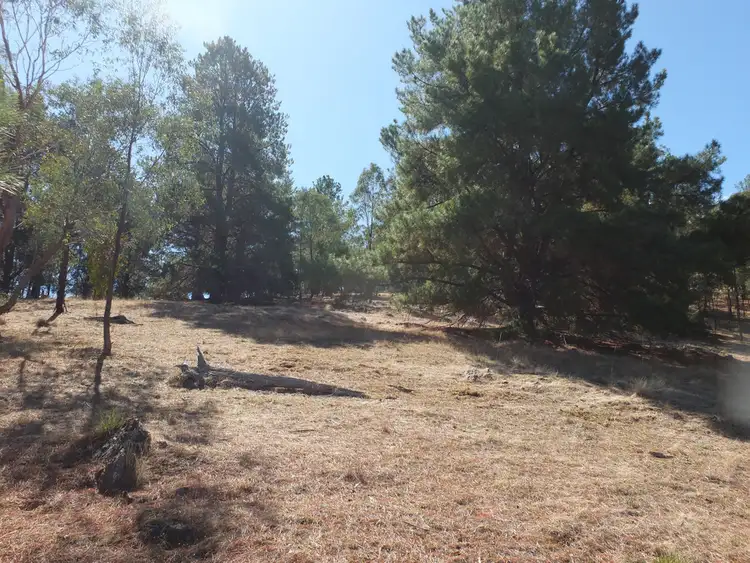 Fourth view of Homely rural property listing, 40 Tormeys Road, Moonambel VIC 3478