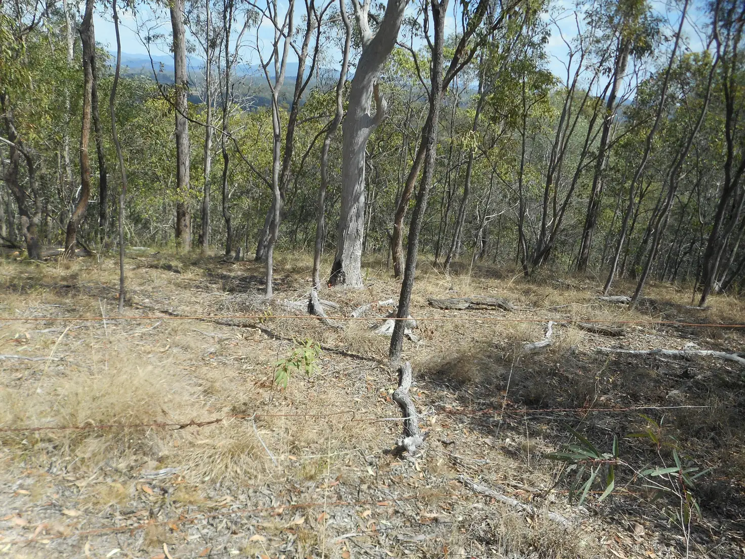 Main view of Homely land listing, 320 booths rd, Gin Gin QLD 4671