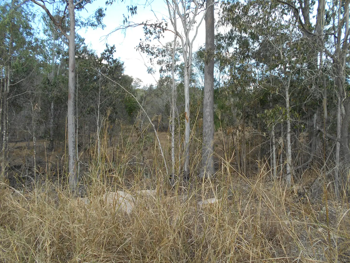 Main view of Homely land listing, Address available on request