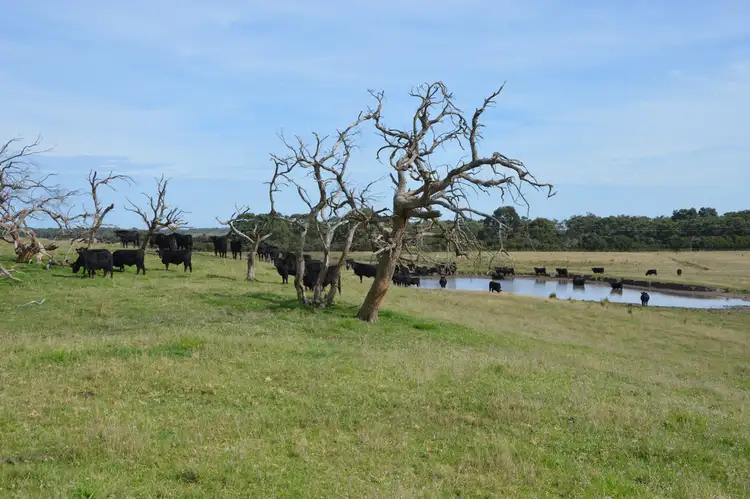 Second view of Homely rural property listing, Lot 2 Boundary Road, Inverloch VIC 3996