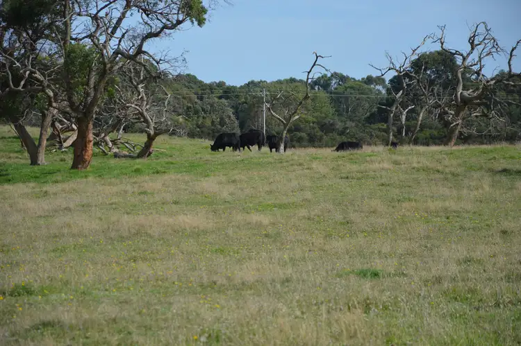 Sixth view of Homely rural property listing, Lot 2 Boundary Road, Inverloch VIC 3996
