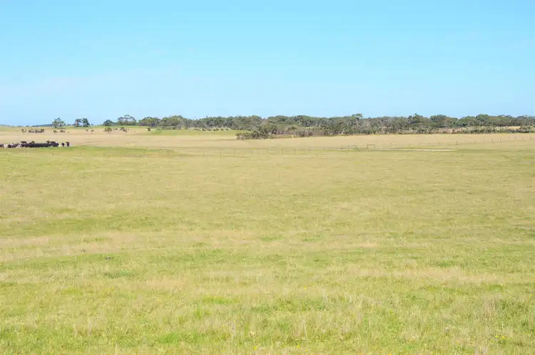 Sixth view of Homely rural property listing, Lot 2 / 250 Boundary Road, Wonthaggi VIC 3995
