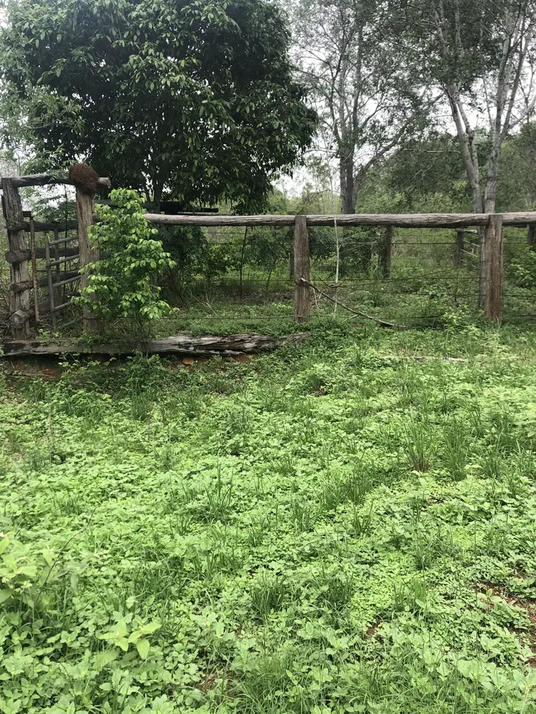 Fifth view of Homely rural property listing, Address available on request