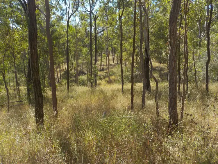 Fifth view of Homely rural property listing, Address available on request