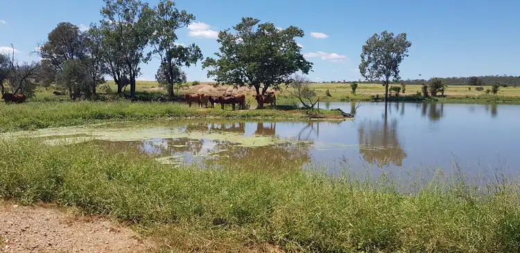 Third view of Homely rural property listing, 266 Buneru Road, Wowan QLD 4702
