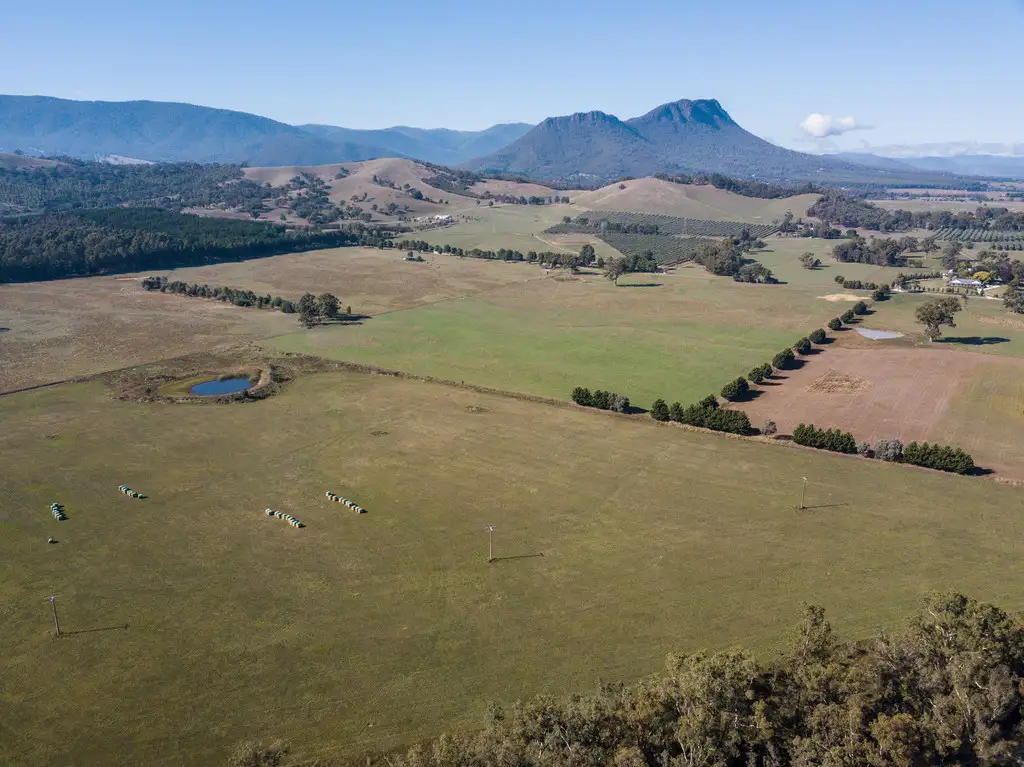 Main view of Homely rural property listing, 120 Taggerty Thornton Road, Taggerty VIC 3714