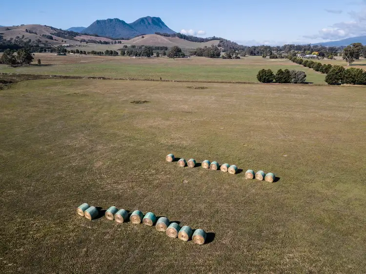 Seventh view of Homely rural property listing, 120 Taggerty Thornton Road, Taggerty VIC 3714