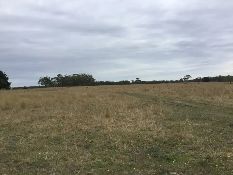 Second view of Homely rural property listing, 194 SINCLAIR SETTLEMENT ROAD, Drumborg VIC 3304
