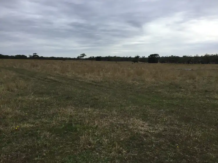 Third view of Homely rural property listing, 194 SINCLAIR SETTLEMENT ROAD, Drumborg VIC 3304