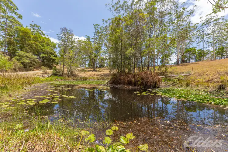 Main view of Homely rural property listing, 419 BELLTHORPE WEST ROAD, Bellthorpe QLD 4514