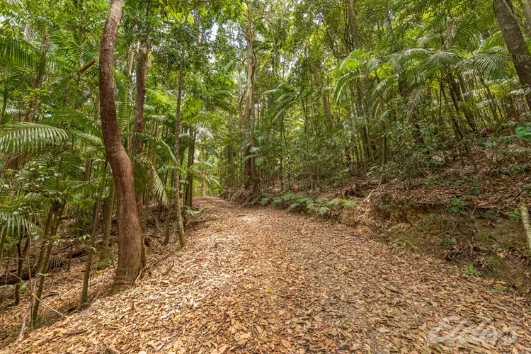 Fifth view of Homely rural property listing, 419 BELLTHORPE WEST ROAD, Bellthorpe QLD 4514