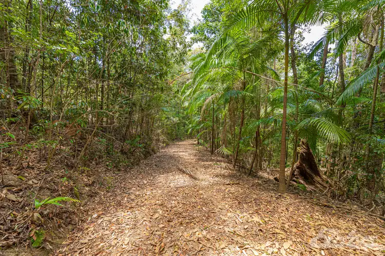 Seventh view of Homely rural property listing, 419 BELLTHORPE WEST ROAD, Bellthorpe QLD 4514