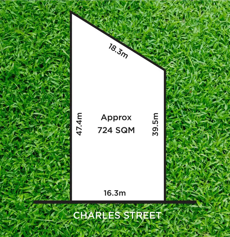 24 Charles Street, Ascot Park SA 5043