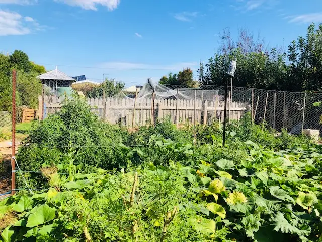 Second view of Homely house listing, 16 Tramway St, Port Franklin VIC 3964