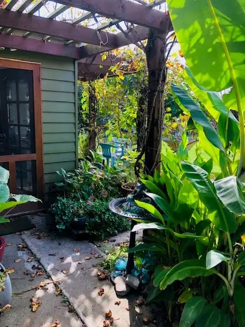 Fourth view of Homely house listing, 16 Tramway St, Port Franklin VIC 3964