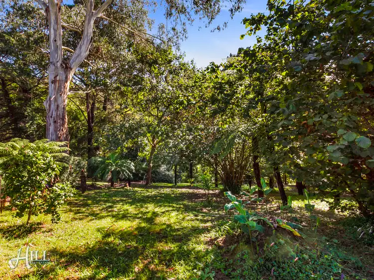 Sixth view of Homely house listing, 26 View Road, The Patch VIC 3792