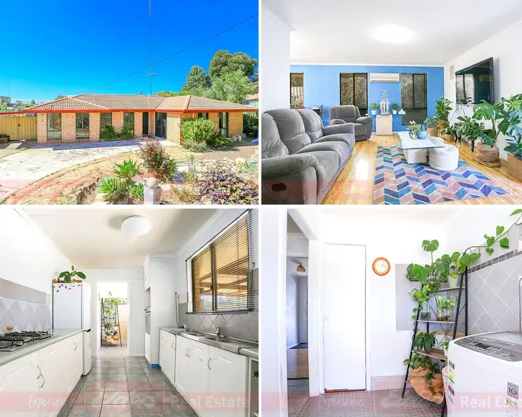 Main view of Homely house listing, 3 Trafalgar Rise, Australind WA 6233
