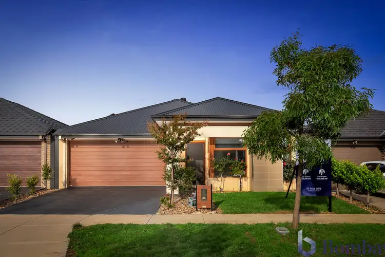 Third view of Homely house listing, 19 Muskwood Drive, Mickleham VIC 3064