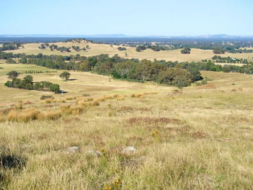 Main view of Homely rural property listing, 320B Whites Rd, Warrenbayne VIC 3670