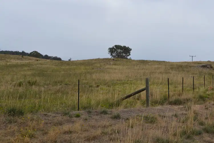 Third view of Homely rural property listing, 320B Whites Rd, Warrenbayne VIC 3670