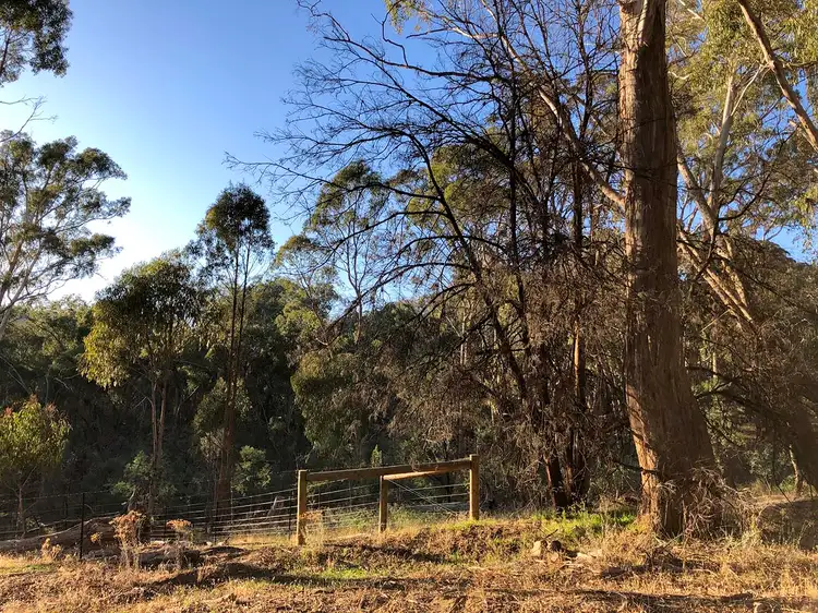 Fourth view of Homely rural property listing, 345 Upper Boho Rd, Boho VIC 3669