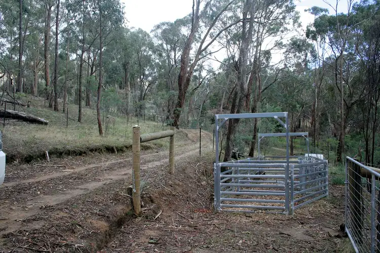 Fifth view of Homely rural property listing, 345 Upper Boho Rd, Boho VIC 3669