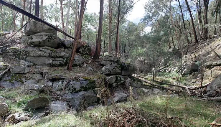 Sixth view of Homely rural property listing, 345 Upper Boho Rd, Boho VIC 3669