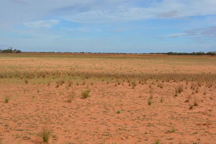 Second view of Homely rural property listing, 1629 Millewa Road, Koorlong VIC 3501