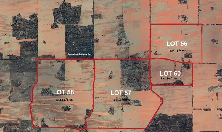 Third view of Homely rural property listing, 1629 Millewa Road, Koorlong VIC 3501