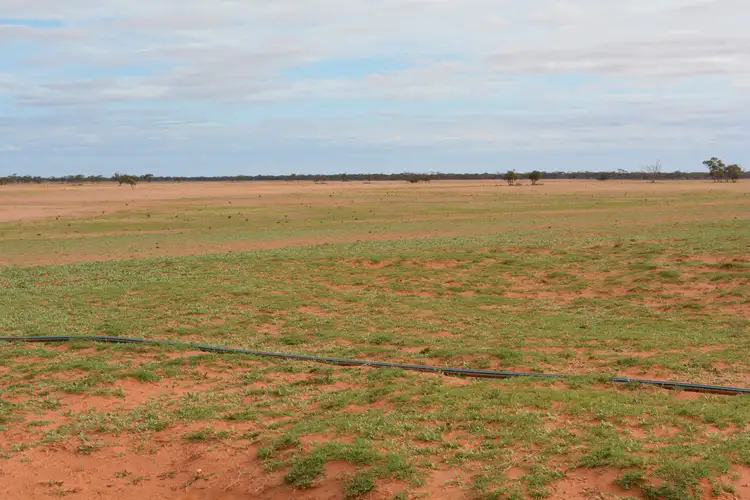 Fourth view of Homely rural property listing, 1629 Millewa Road, Koorlong VIC 3501