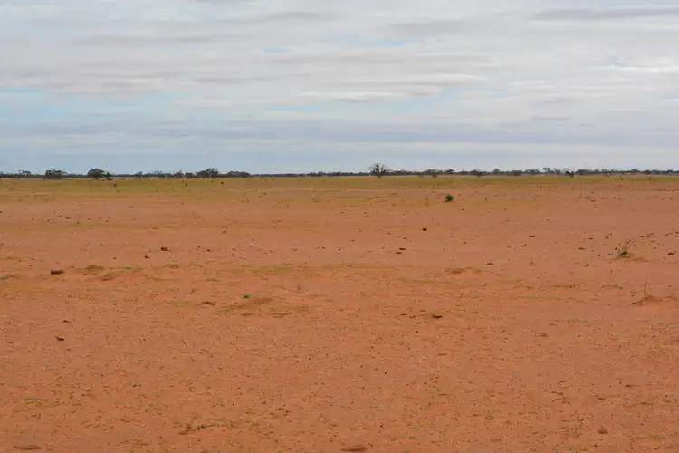 Seventh view of Homely rural property listing, 1629 Millewa Road, Koorlong VIC 3501