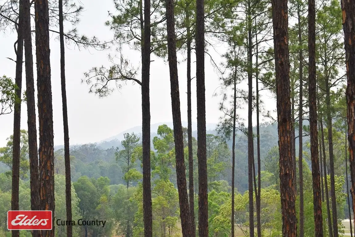 Main view of Homely land listing, Lot 119 Arborfive Road, Glenwood QLD 4570