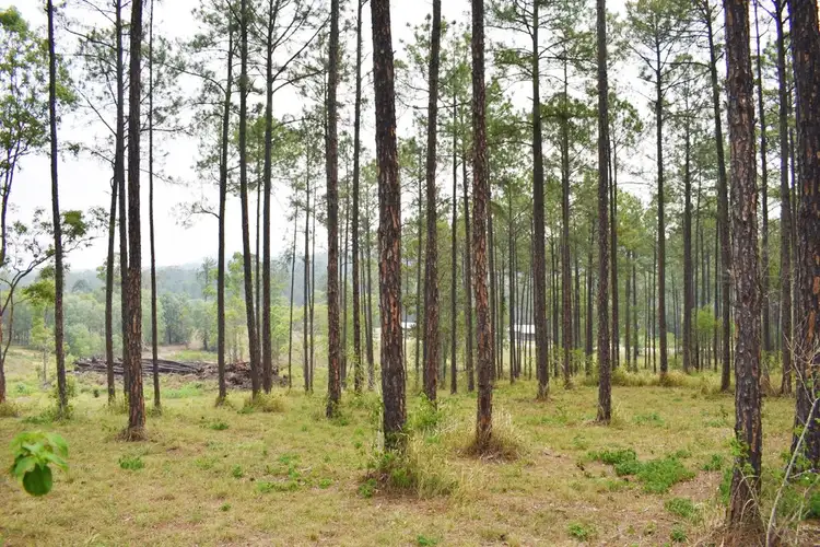 Fourth view of Homely land listing, Lot 119 Arborfive Road, Glenwood QLD 4570