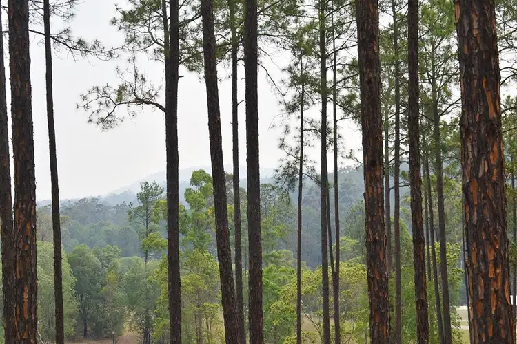 Fifth view of Homely land listing, Lot 119 Arborfive Road, Glenwood QLD 4570