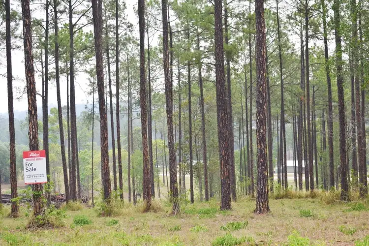 Seventh view of Homely land listing, Lot 119 Arborfive Road, Glenwood QLD 4570