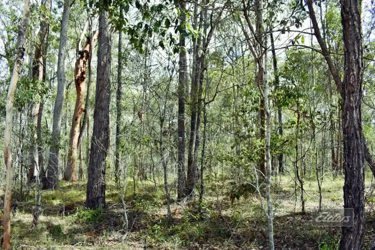 Sixth view of Homely land listing, Lot 279 Van Hensbroek Road, Bauple QLD 4650