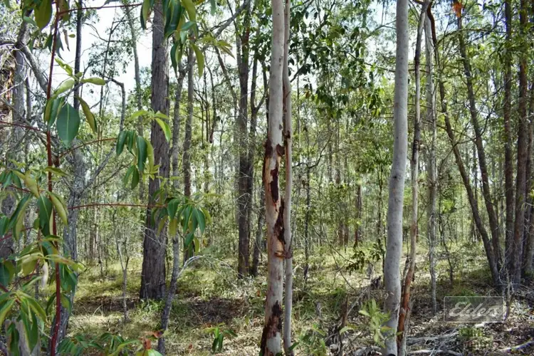 Seventh view of Homely land listing, Lot 279 Van Hensbroek Road, Bauple QLD 4650