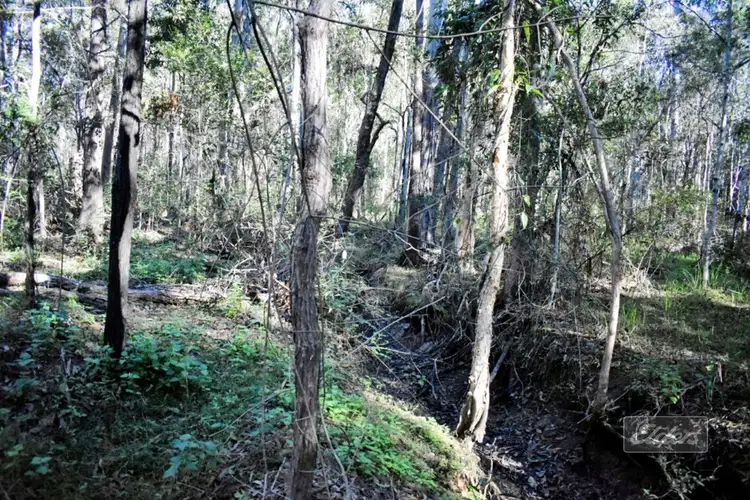 Sixth view of Homely land listing, Lot 308 Darwin Road, Bauple QLD 4650