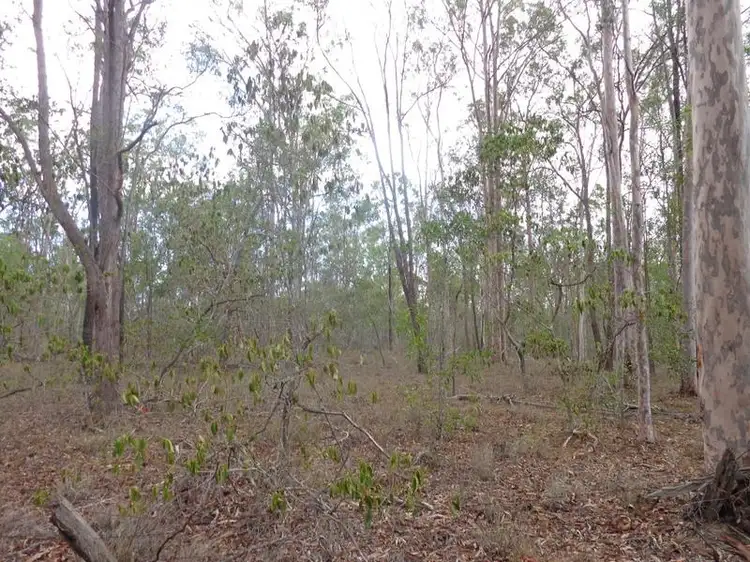 Seventh view of Homely land listing, Lot 9 Cauleys Road, Paterson QLD 4570