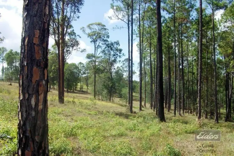 Lot 104 Arborthree Road, Glenwood QLD 4570