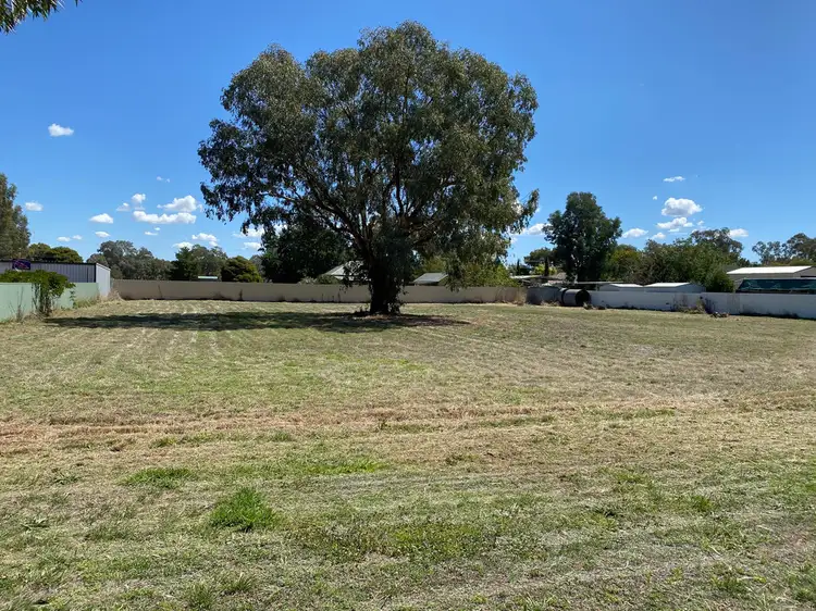 33 Webb, Holbrook NSW 2644