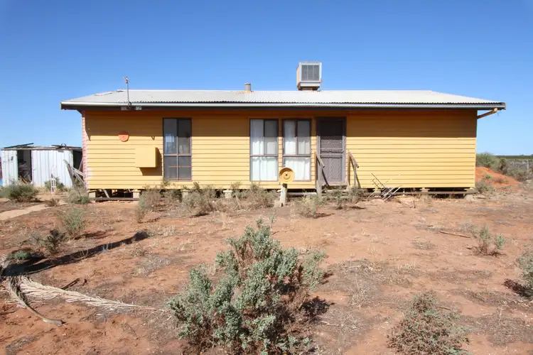 Main view of Homely house listing, 11 Alexander Lane, Coomealla NSW 2717