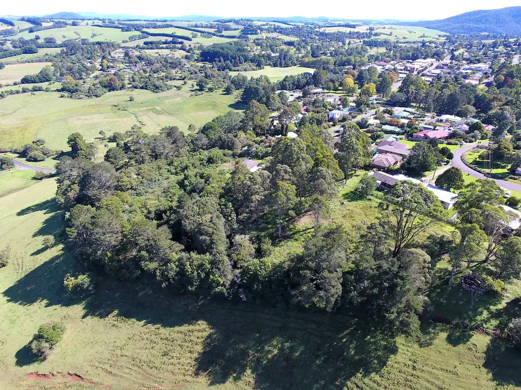 Main view of Homely land listing, 23 Hollibone St, Dorrigo NSW 2453